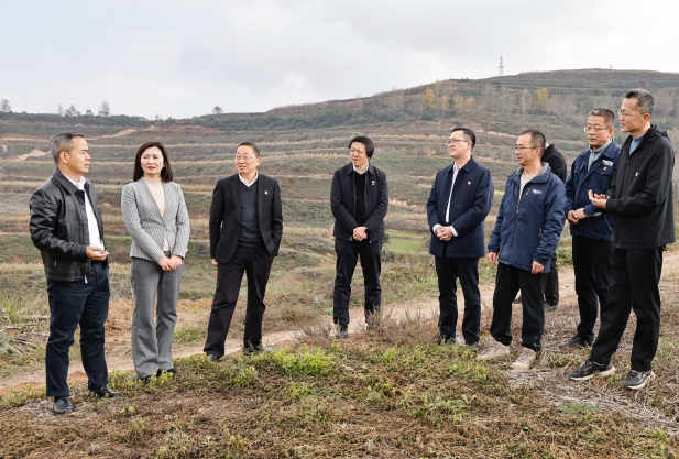 实地调研 (2).jpg